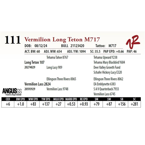 VERMILION LONG TETON M717