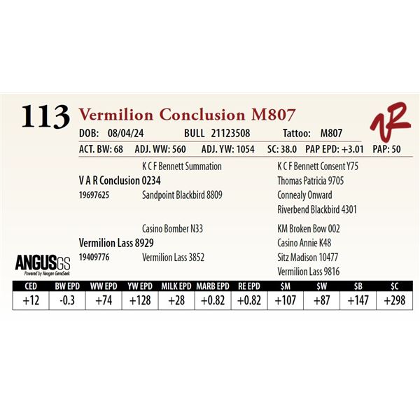 VERMILION CONCLUSION M807
