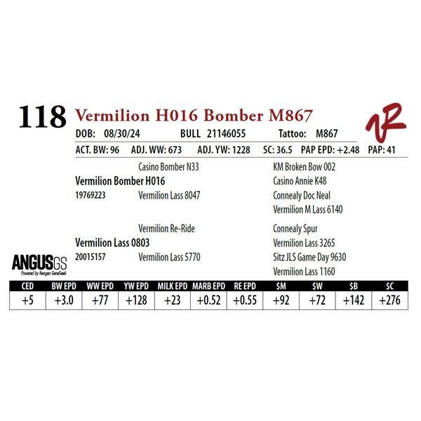 VERMILION H016 BOMBER M867