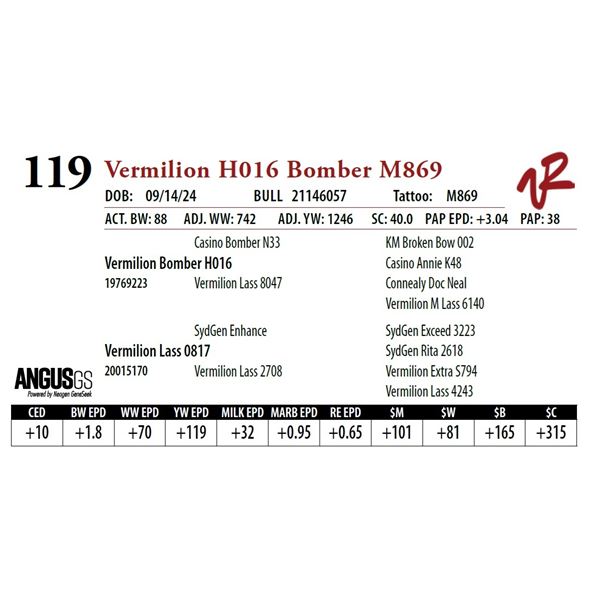 VERMILION H016 BOMBER M869