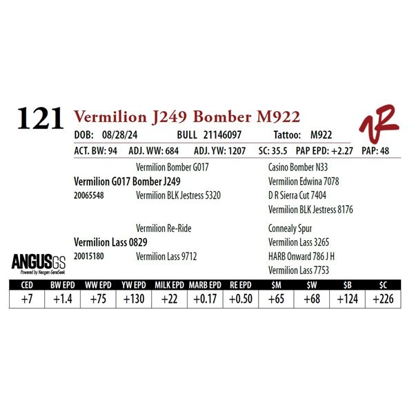 VERMILION J249 BOMBER M922