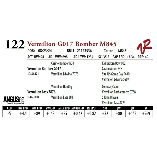 VERMILION G017 BOMBER M845