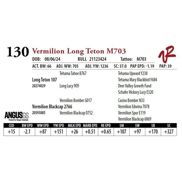VERMILION LONG TETON M703
