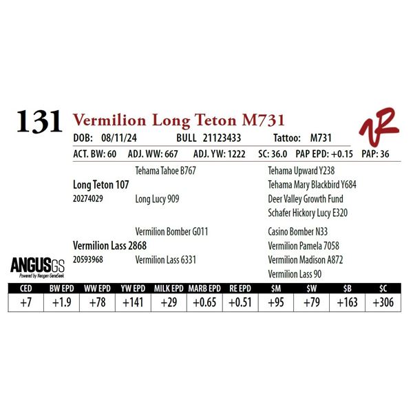 VERMILION LONG TETON M731