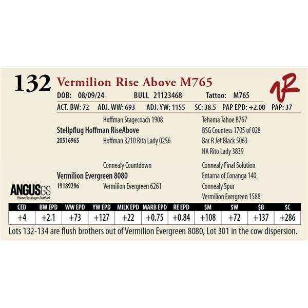 VERMILION RISE ABOVE M765