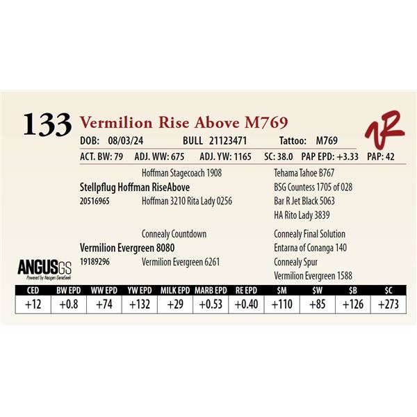 VERMILION RISE ABOVE M769