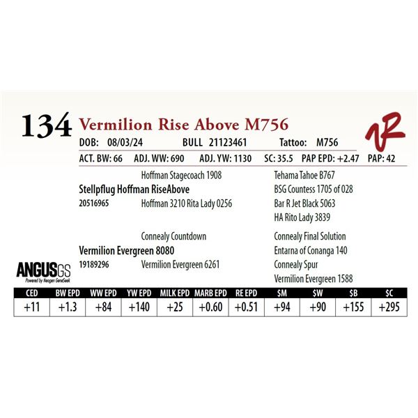 VERMILION RISE ABOVE M756