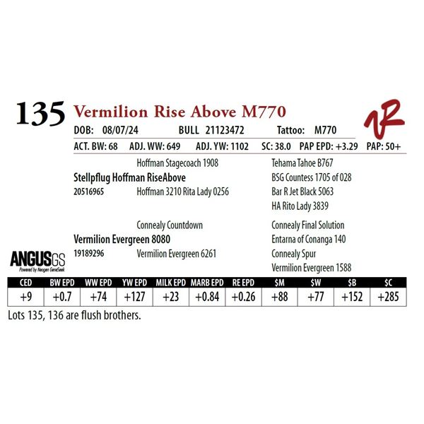 VERMILION RISE ABOVE M770
