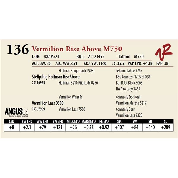 VERMILION RISE ABOVE M750
