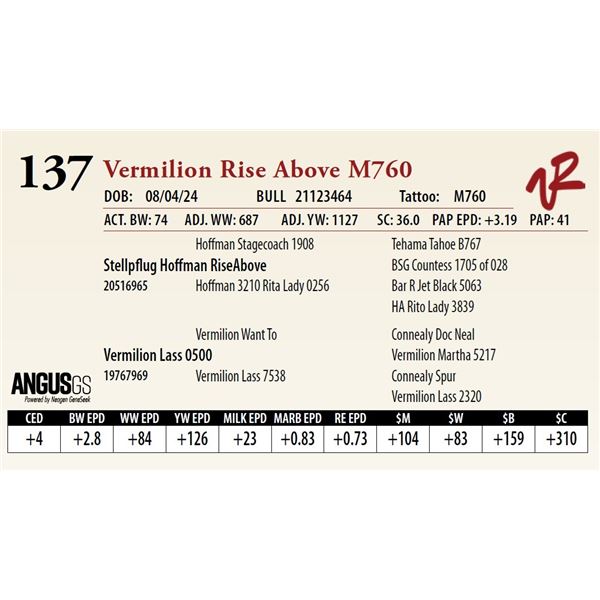 VERMILION RISE ABOVE M760