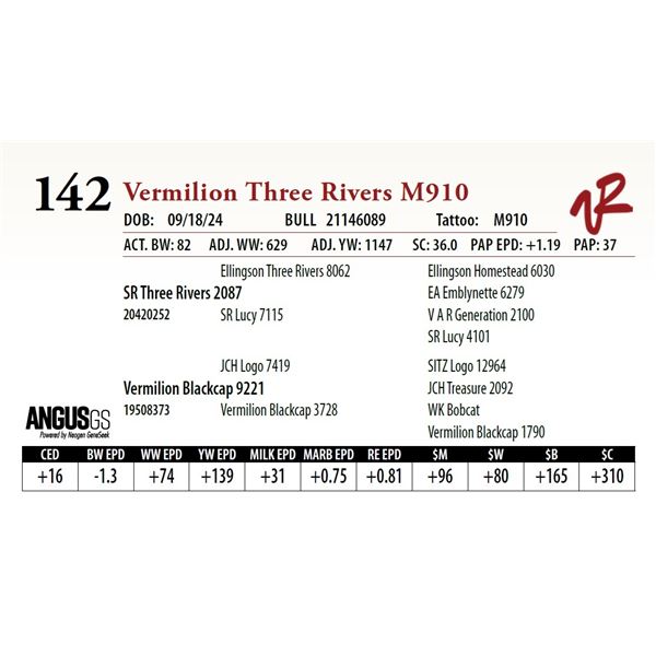 VERMILION THREE RIVERS M910