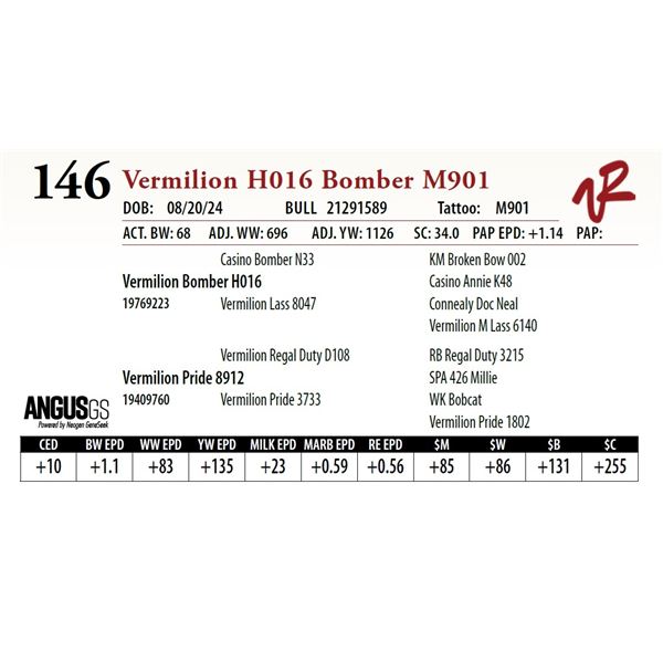 VERMILION H016 BOMBER M901