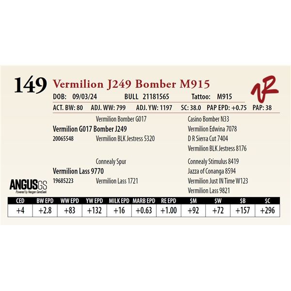 VERMILION J249 BOMBER M915