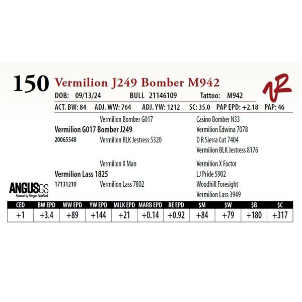 VERMILION J249 BOMBER M942