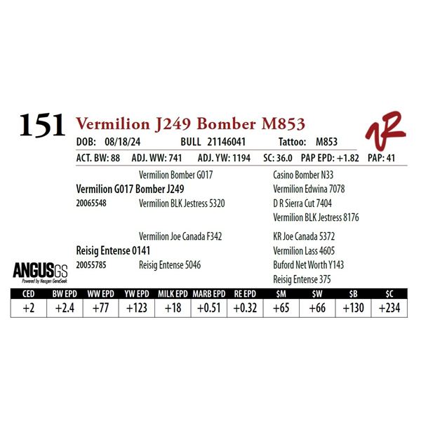 VERMILION J249 BOMBER M853