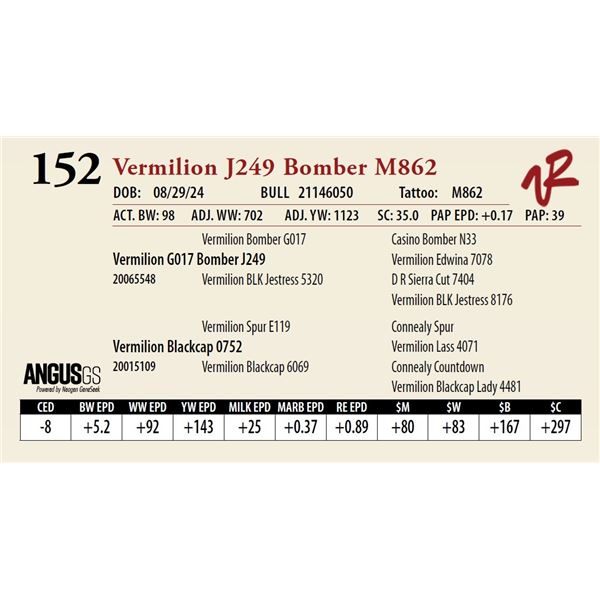 VERMILION J249 BOMBER M862