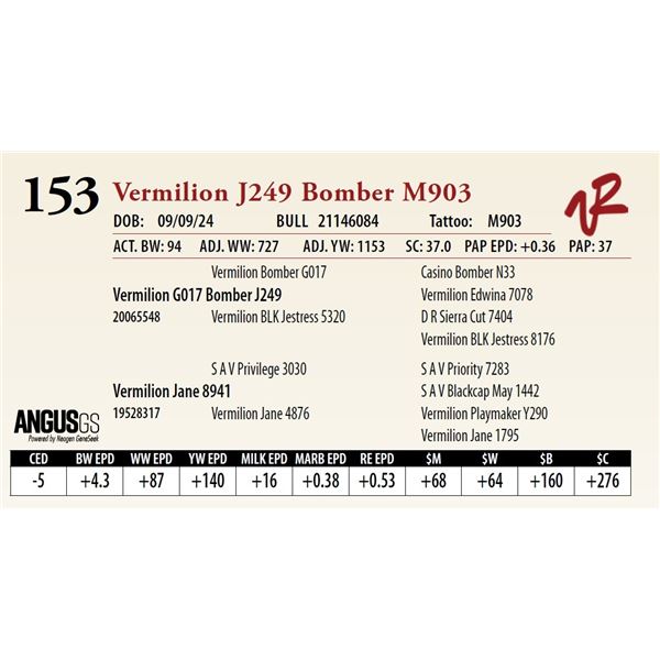 VERMILION J249 BOMBER M903