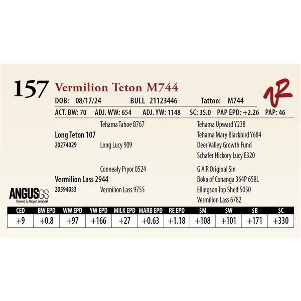 VERMILION TETON M744