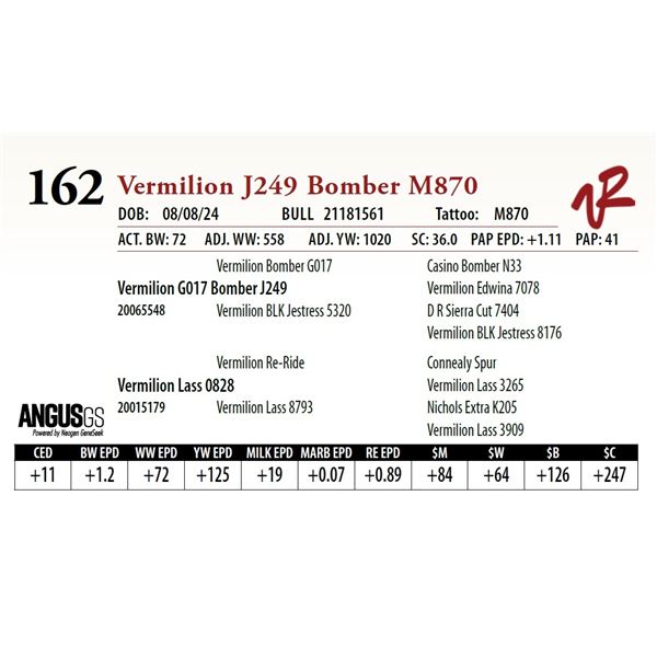 VERMILION J249 BOMBER M870