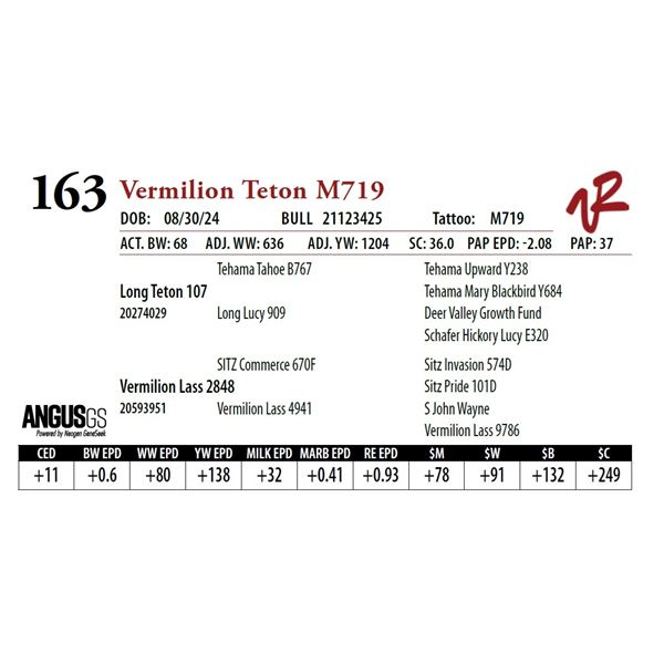 VERMILION TETON M719