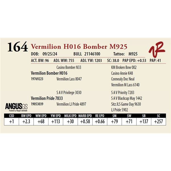 VERMILION H016 BOMBER M925