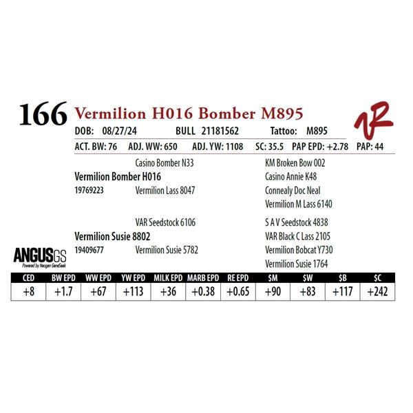 VERMILION H016 BOMBER M895