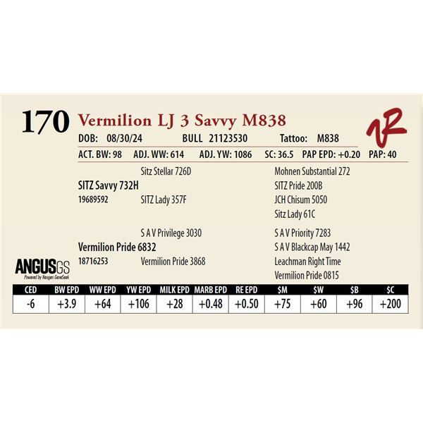 VERMILION LJ 3 SAVVY M838