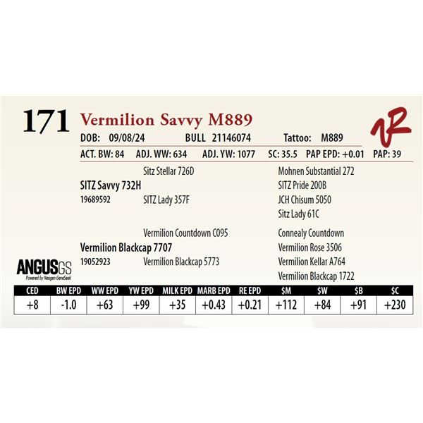 VERMILION SAVVY M889