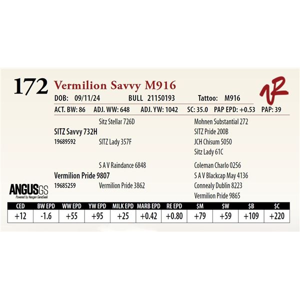 VERMILION SAVVY M916