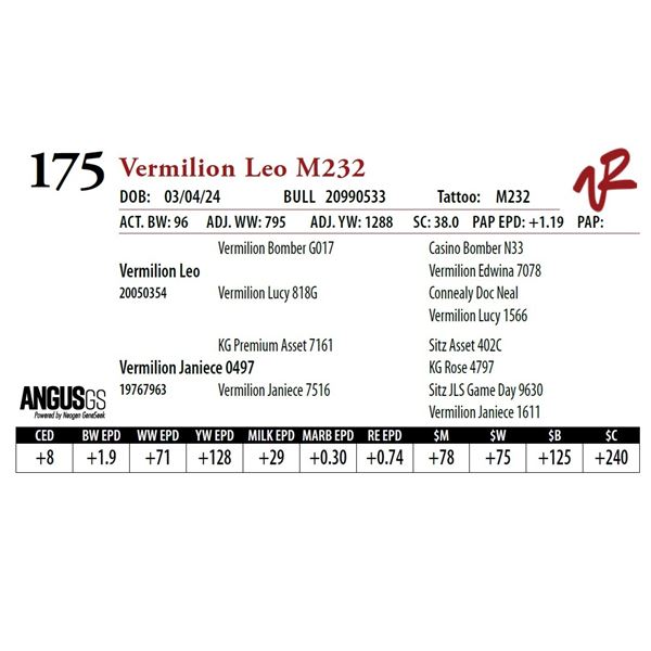 VERMILION LEO M232