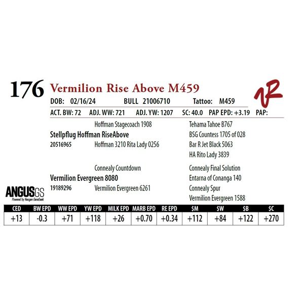 VERMILION RISE ABOVE M459