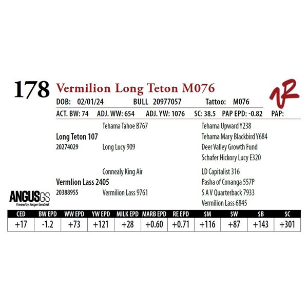 VERMILION LONG TETON M076