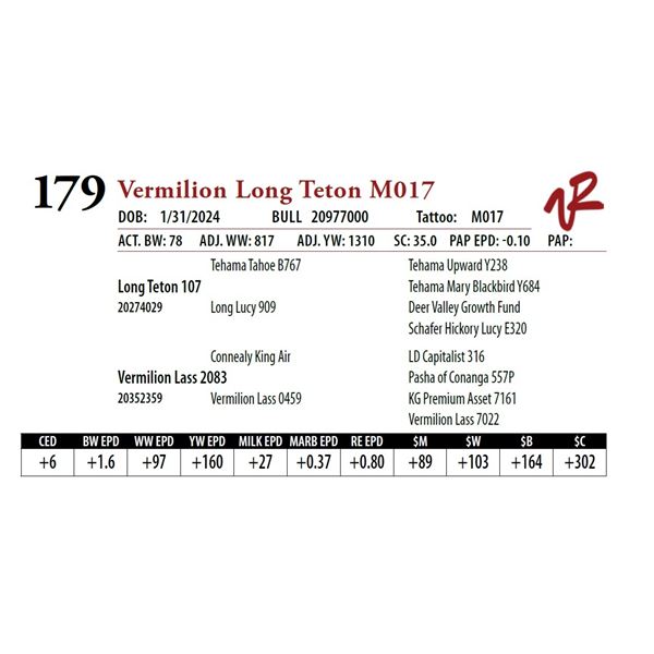 VERMILION LONG TETON M017