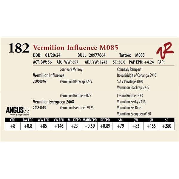 VERMILION INFLUENCE M085