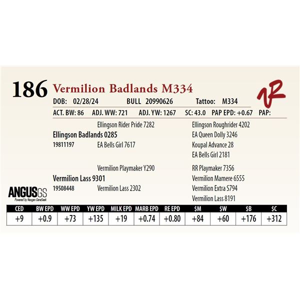 VERMILION BADLANDS M334