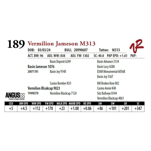 VERMILION JAMESON M313