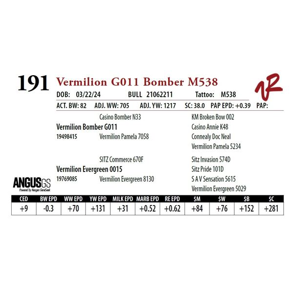 VERMILION G011 BOMBER M538