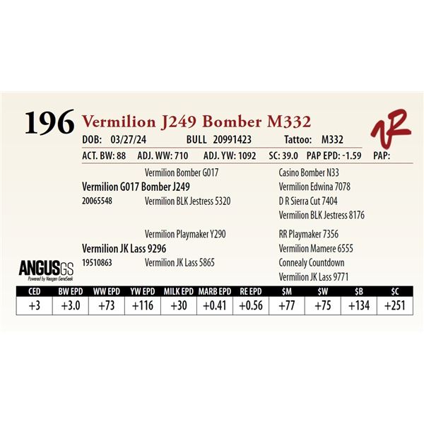 VERMILION J249 BOMBER M332