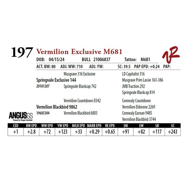 VERMILION EXCLUSIVE M681