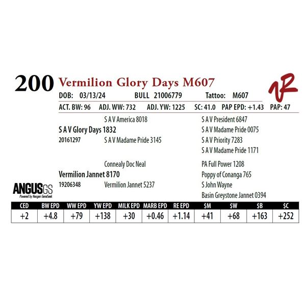 VERMILION GLORY DAYS M607