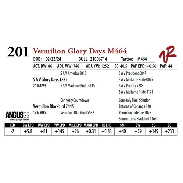 VERMILION GLORY DAYS M464