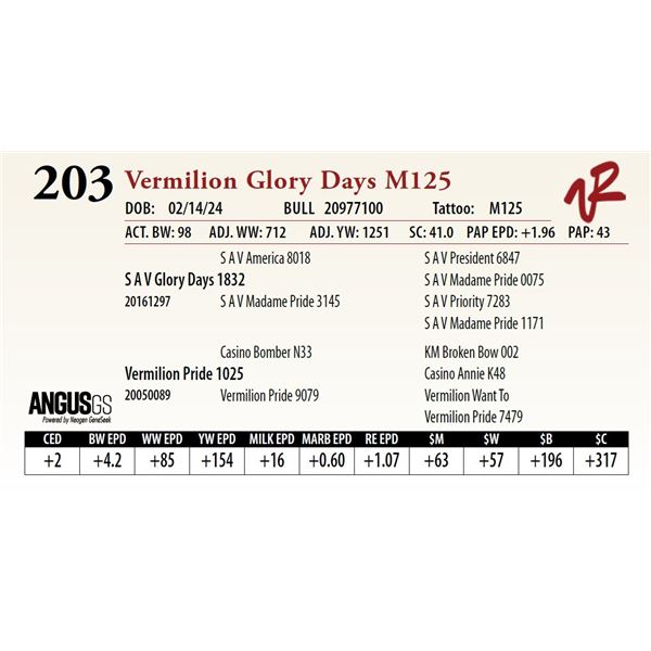 VERMILION GLORY DAYS M125