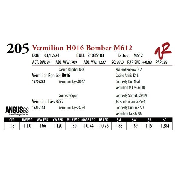VERMILION H016 BOMBER M612