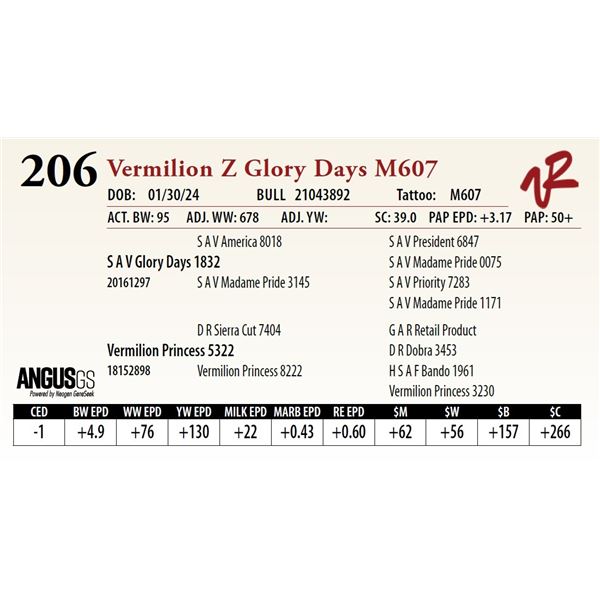 VERMILION Z GLORY DAYS M607