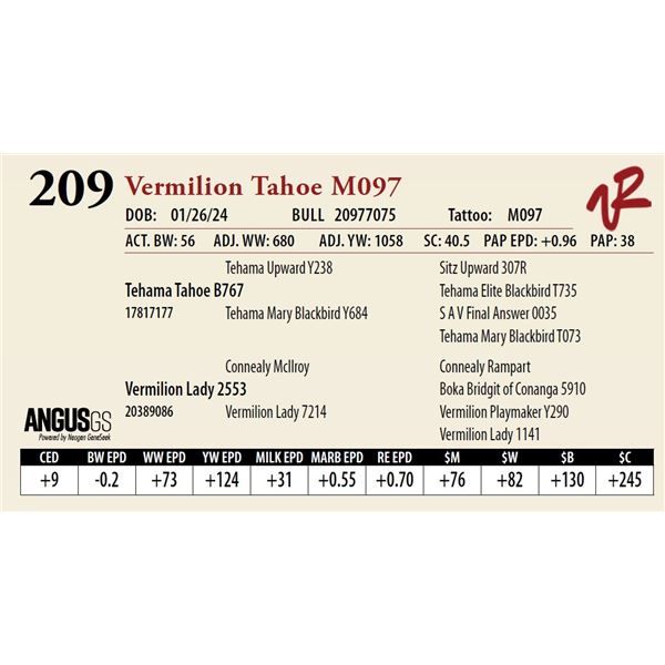 VERMILION TAHOE M097