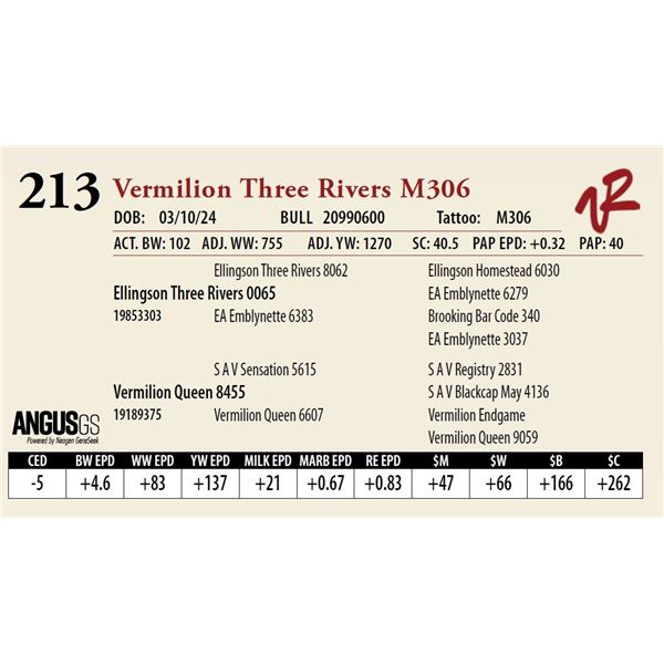 VERMILION THREE RIVERS M306