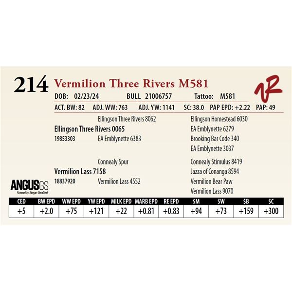 VERMILION THREE RIVERS M581