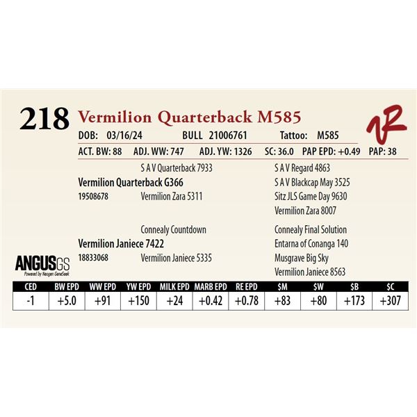 VERMILION QUARTERBACK M585