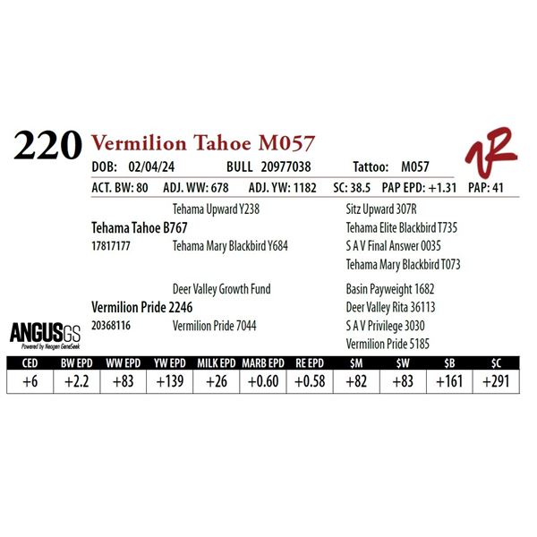 VERMILION TAHOE M057