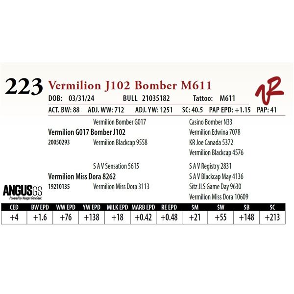 VERMILION J102 BOMBER M611